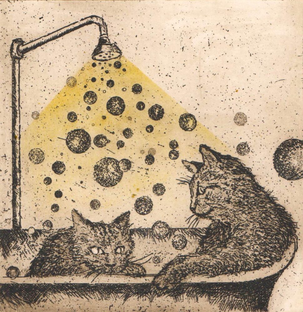 Kitties, bathtub & bubbles